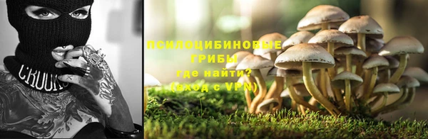 не бодяженный Абаза
