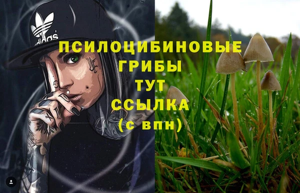 крисы Нягань